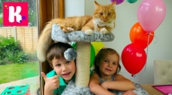 Embedded thumbnail for Пранки над Муркой Видео для детей Розыгрыши и Party для Кошечки Kittens Prank Bad Baby Kid&amp;#039;s Video